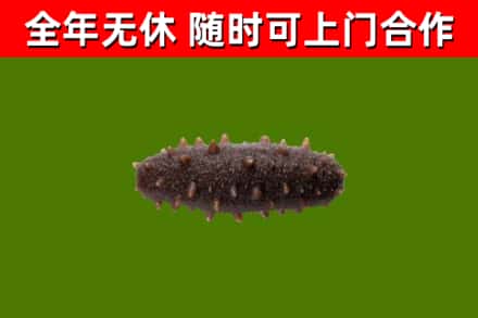 小店烟酒回收干海参.jpg
